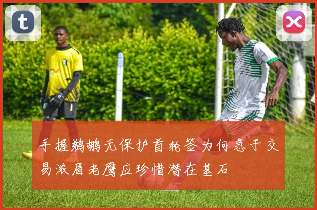 手握鹈鹕无保护首轮签为何急于交易浓眉老鹰应珍惜潜在基石